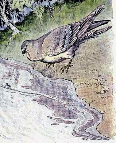 Иллюстрация к басне Муравей и голубка