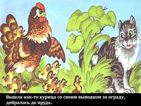 Иллюстрация к сказке Курица и утята