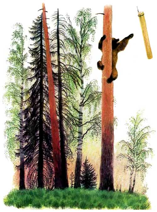 Иллюстрация к сказке Медведь и бревно