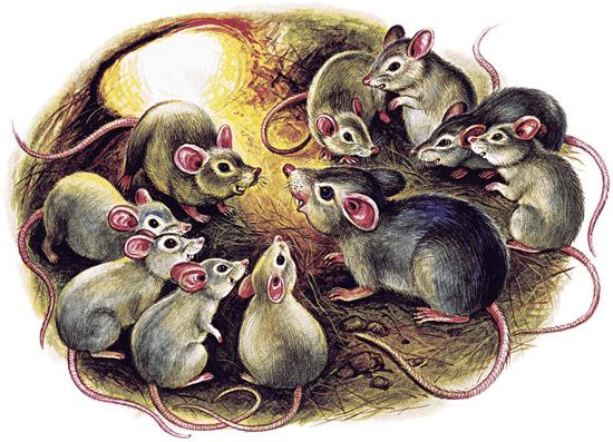 Иллюстрация к сказке Мышки