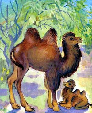 Иллюстрация к сказке Верблюдица