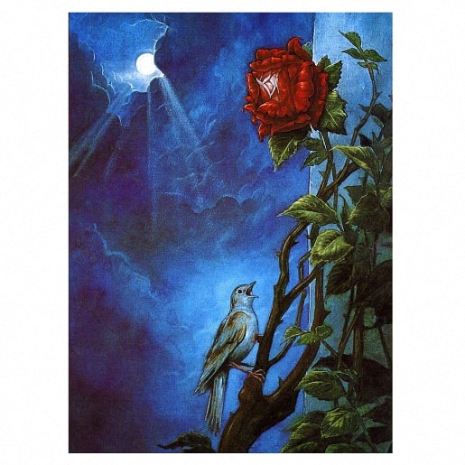 Иллюстрация к сказке Соловей и роза
